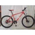 Factory Price Mountain Sport Bicycle for Sale MTB Bike